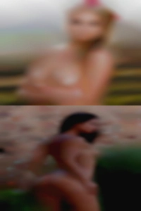 So pussy no shrinking hot violets.